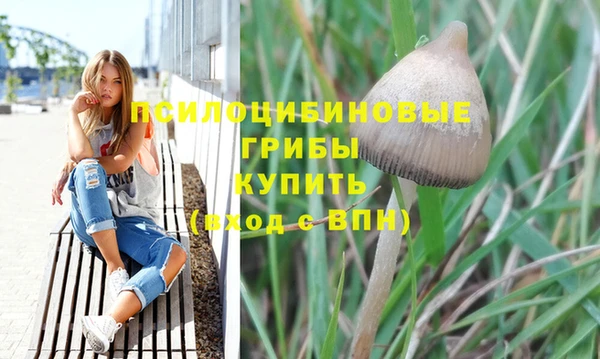 шишки Армянск