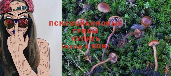 ALPHA PVP Баксан