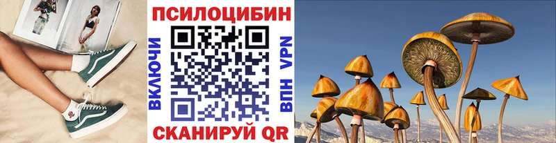 Купить закладки  Оса  Псилоцибиновые грибы Psilocybe 